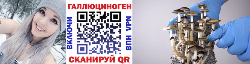 Галлюциногенные грибы Psilocybe Тейково