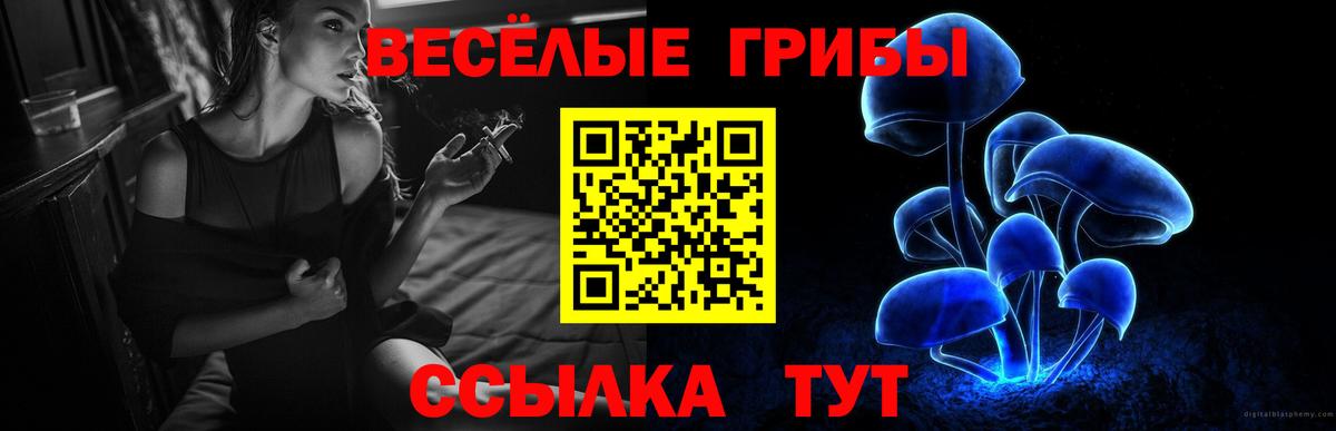 Галлюциногенные грибы GOLDEN TEACHER Тейково